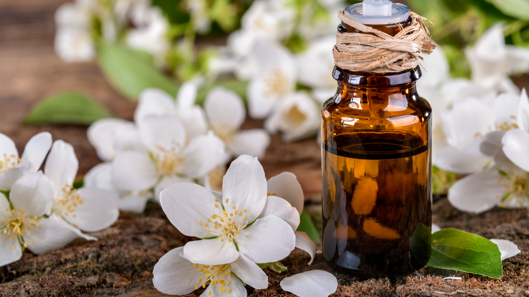 What Are the Benefits of Jasmine Essential Oil?