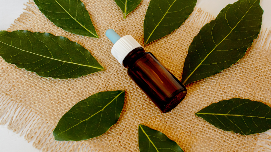 Why Does Tea Tree Essential Oil Is So In Demand?