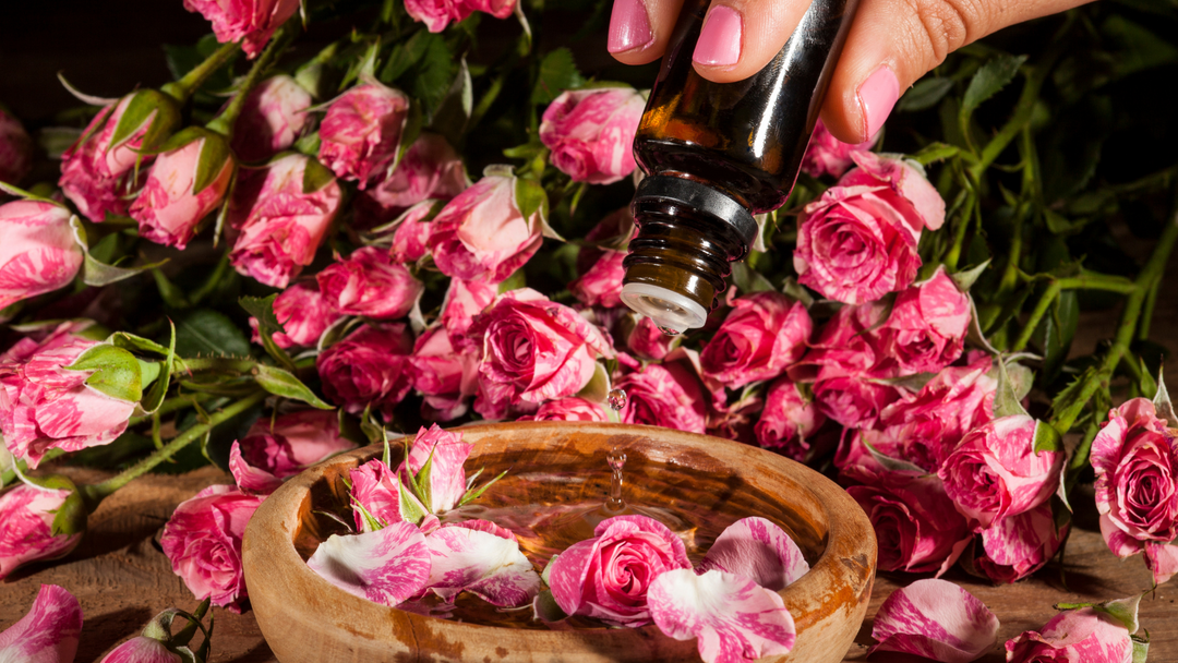 The Benefits of Rose & Rose Geranium Essential Oils for Body, Skin, and Mind